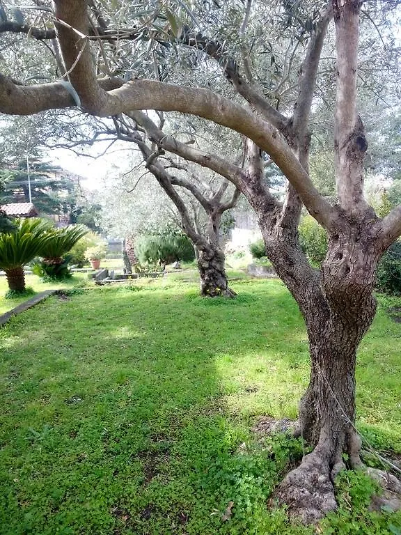 Etna Travellers B&B Mascalucia
